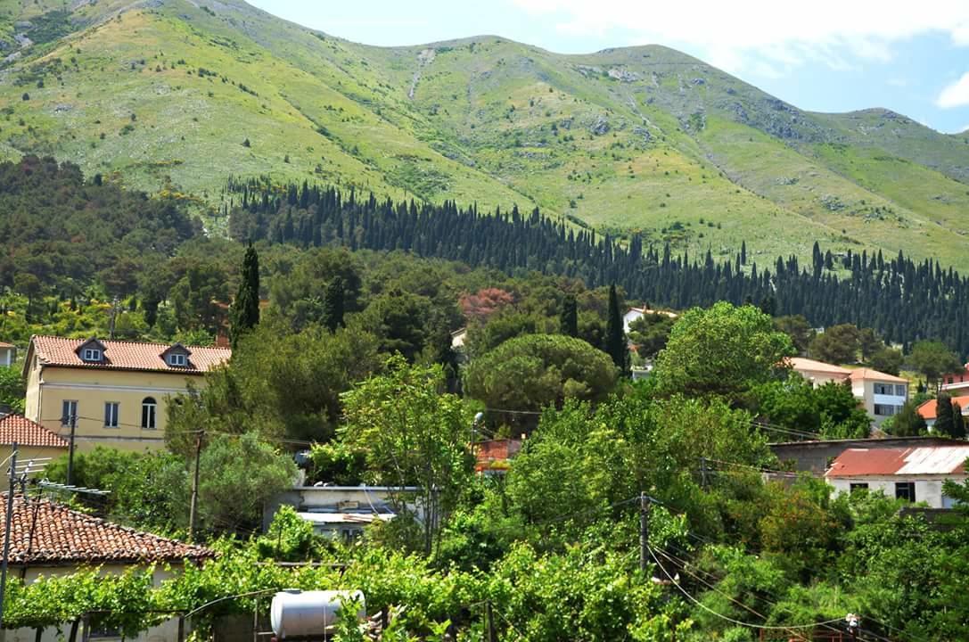 Hotel Shkodra Lake Široka Exteriér fotografie